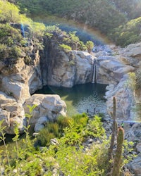 a rainbow shines over a cactus and a waterfall