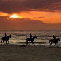 a group of people riding horses on a beach