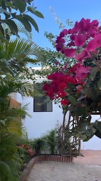 a house with pink flowers in front of it