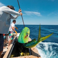 a group of people on a boat catching a fish