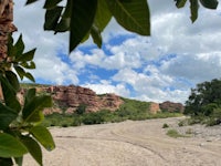 a dirt road with trees and rocks in the background