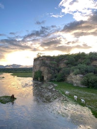 a group of horses grazing in a river near a cliff