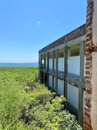 an abandoned building in the middle of a forest